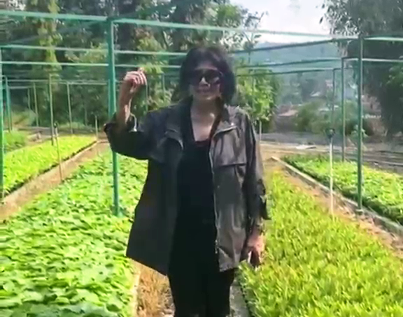 Bibit Kayu Balsa untuk Petani di Tasikmalaya